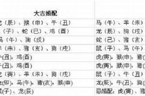 97年 生肖|1997年是属什么生肖 97年生肖年是什么属牛